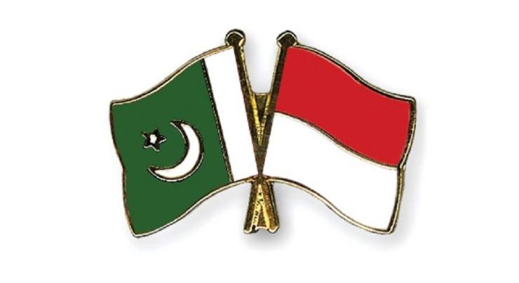 Indonesia, Pakistan emerging economies with potential for becoming trade powers: Ambassador Adam
