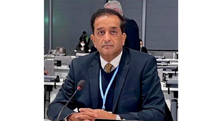 Govt to launch satellite monitoring based State of Forest Report: Malik Amin Aslam
