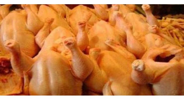 PFA discards 2,300 kg sick, emaciated chicken meat
