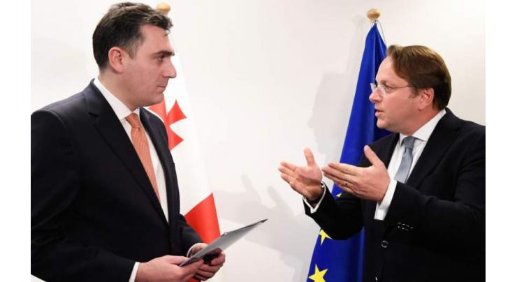 Georgia Takes 'First Step' Toward EU Accession - EU Commissioner