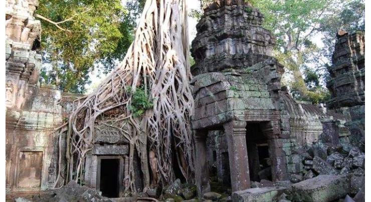 Restoration work on Ta Prohm temple almost completed in Cambodia's famed Angkor

