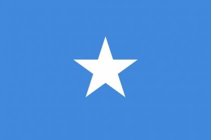Somali Police Chief Dismissed for 'Sabotaging' Lower House Leadership Elections - Reports