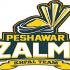 Peshawar Zalmi launches yearly program in KP