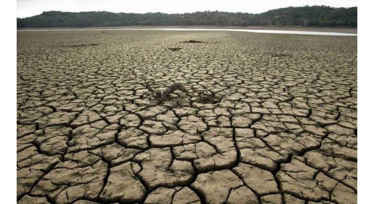 Water shortage severely affects agricultural production in Sindh: Irrigation Minister
