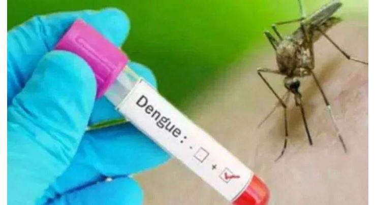 7 Dengue cases reported in rawalpindi
