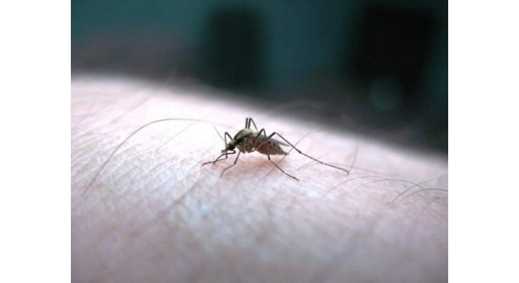One more dengue patient reported in RWP
