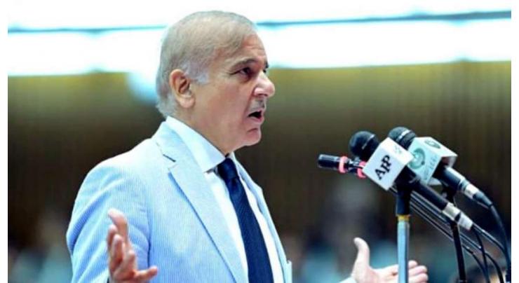 PM Shehbaz Sharif directs wheat procurement by provinces to be done by June 1
