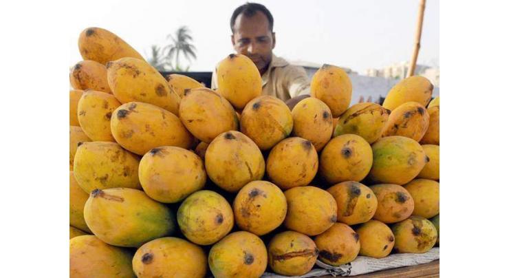 Advisory for Mango farmers
