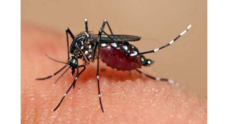 1,883 dengue fever suspects visit district's health facilities
