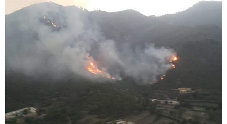 Wild fire behind Bari Imam in Margalla's forests jeopardizes precious wildlife
