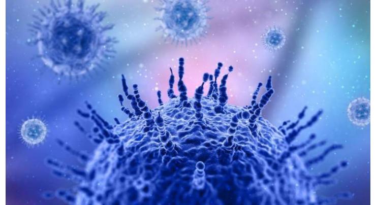 Spain Raises Health Alert Over Monkeypox Outbreak in Madrid - Reports