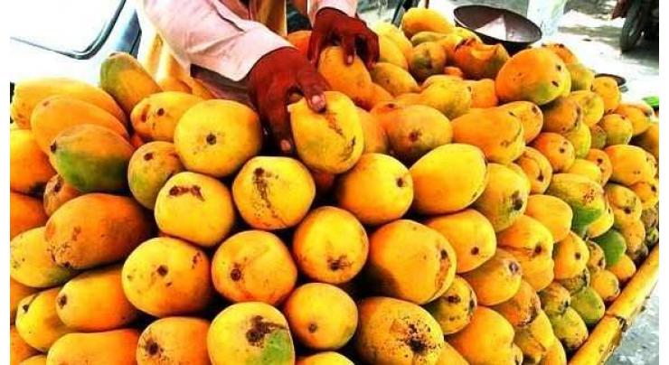 Meeting decides to strengthen academic-growers' cooperation for better mango production
