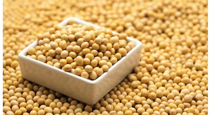 Imports of soyabean increase 101.96%, palm 44.64% in 10 months
