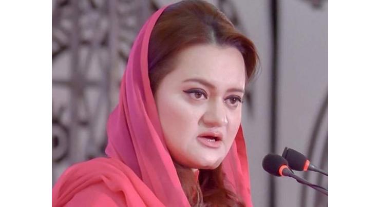No one can be allowed to malign armed force, judiciary and other state institutions: Marriyum
