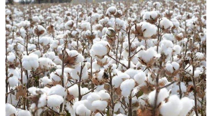 Spot rates of cotton (Crop 2021-22)

