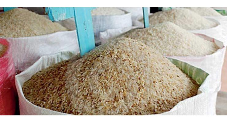 Rice exports increase 17.21% in 10 months, reached $2.051 billion
