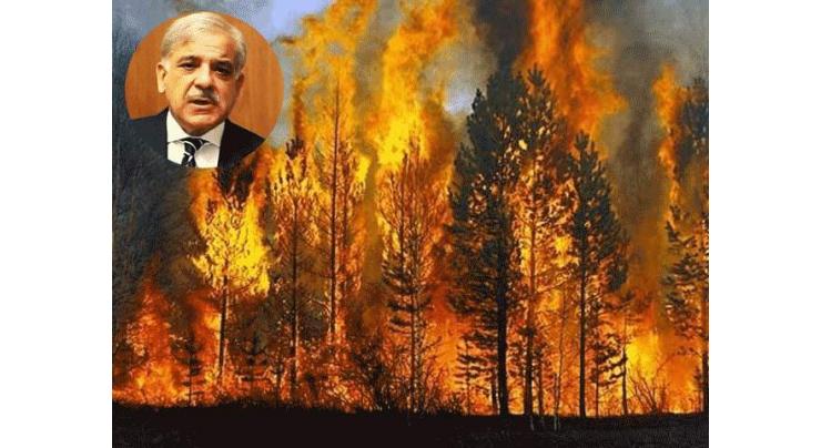 Bizenjo, Wasay laud efforts of PM for taking steps to control forest fire in Sherani

