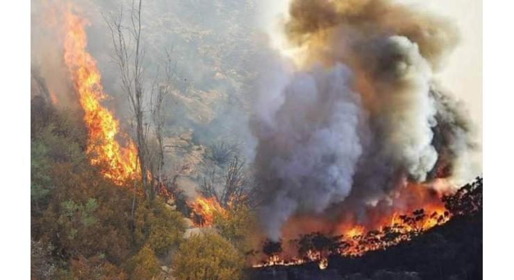 Fire emergency declared in Gangi Khel Kala, Bannu mountain
