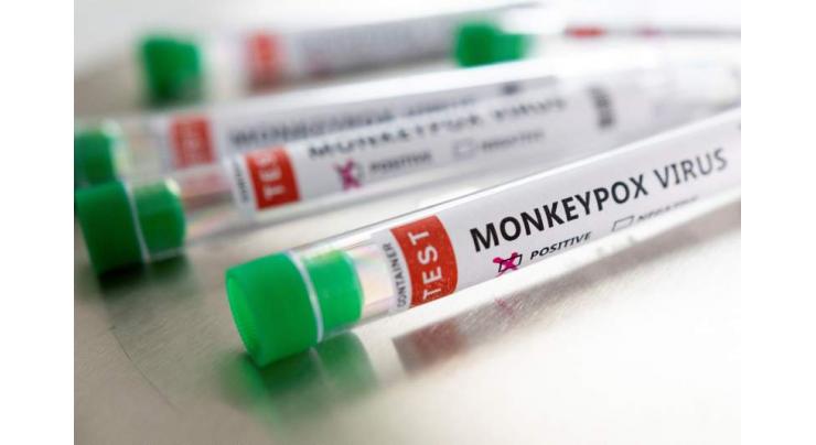 Risk of monkeypox spreading widely 'very low'
