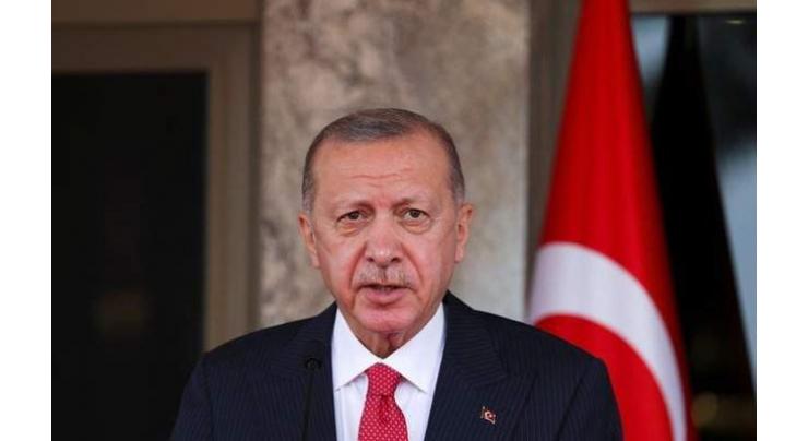 Turkey's Position on NATO Expansion Not Hostile to Alliance - Erdogan