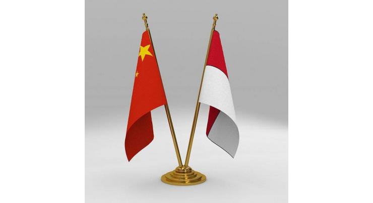 Chinese, Indonesian FMs hold phone conversation
