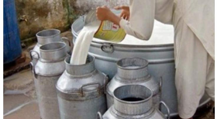 2280 litre adulterated milk wasted
