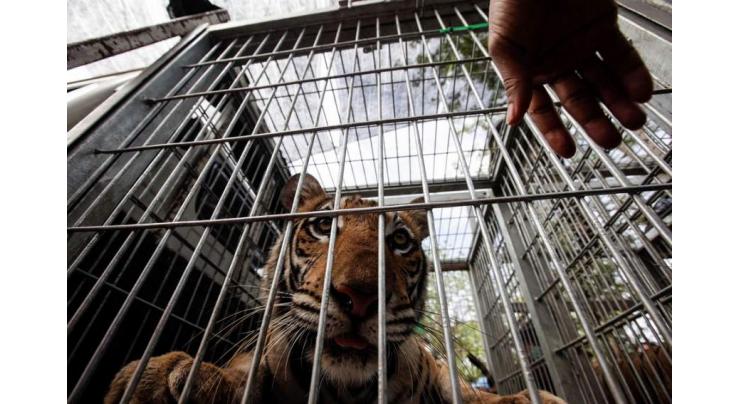 Unregistered wildlife breeding facilities termed illegal
