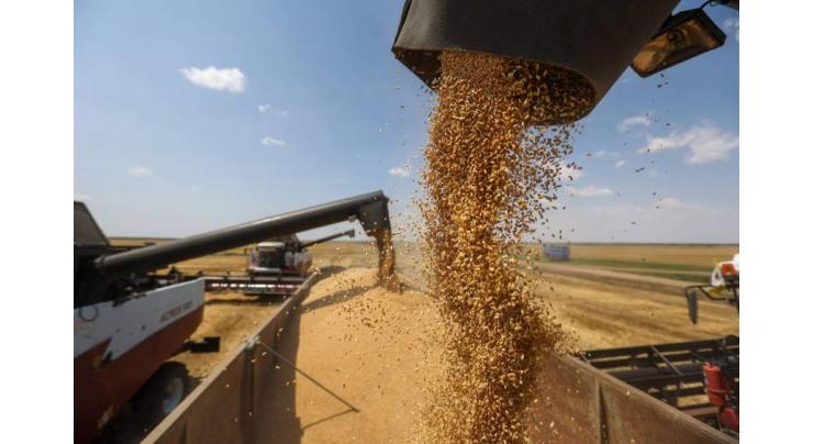 Russia to Produce Almost Record Levels of Grain in 2022 - Agriculture Minister