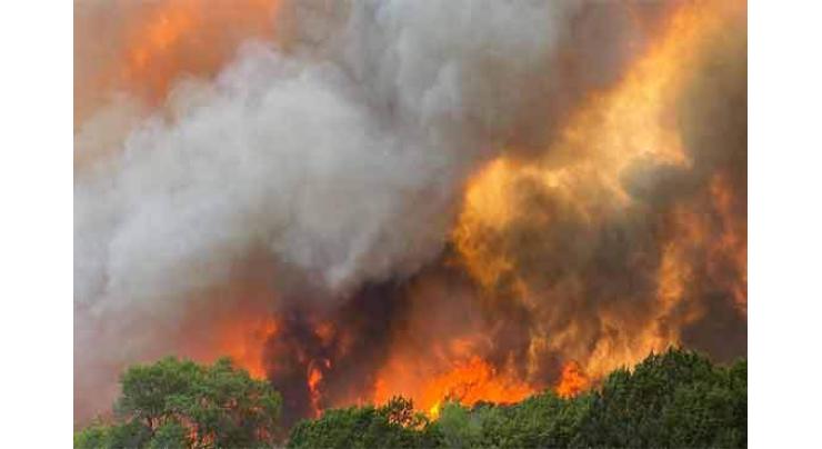Pak-China Meeting on Cooperation to manage Forest Fire hazard