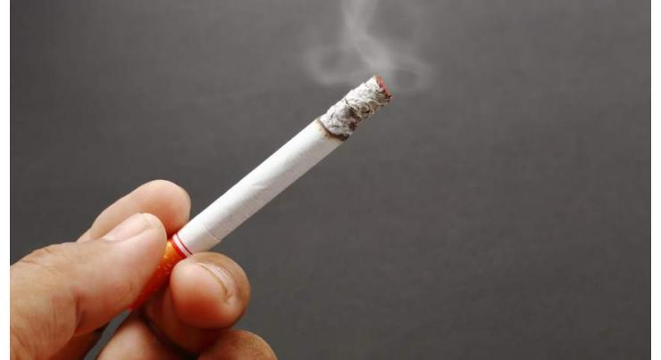 Integration of tobacco control in health, education, environment policy stressed
