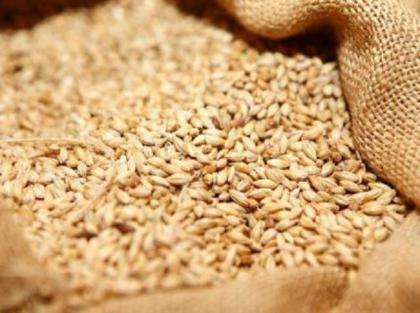 Commissioner reviews price control, wheat procurement, supply of fertilizers
