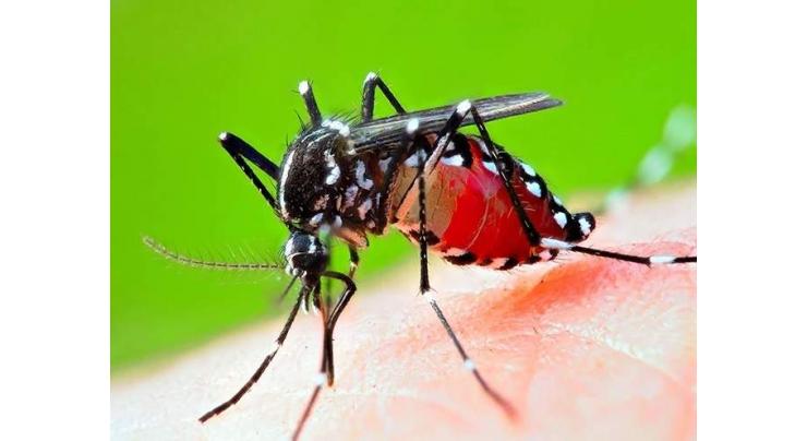 Health authority cautions people to adopt preventive measures to avoid dengue
