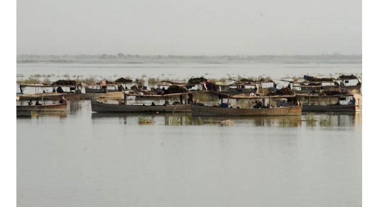 Sindh High Court orders to submit report of dropping fish seed in Manchar Lake
