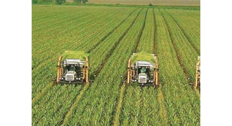Agriculture sector posts 4.40pc growth in FY2022
