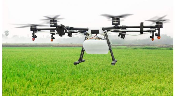 Precision Farming: Drone technology can make cotton crop highly profitable: Director CCRI
