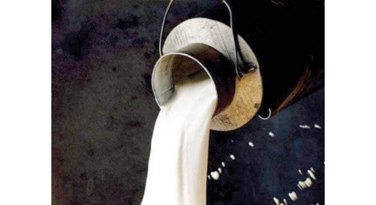 1,050 litres adulterated milk disposed of
