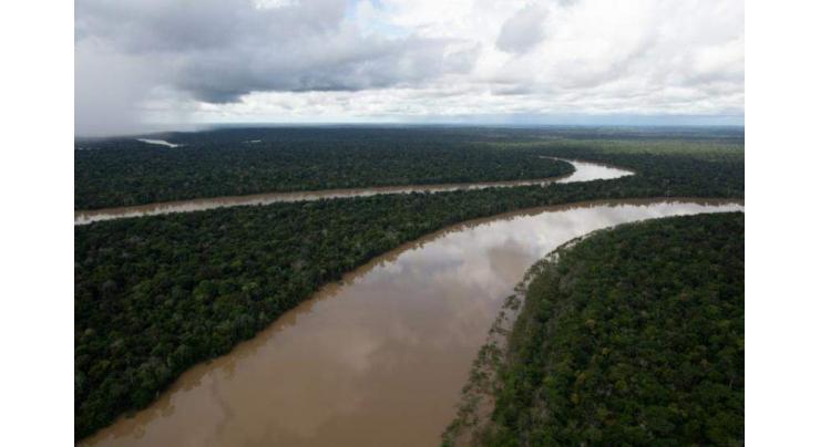 Human remains found in Amazon search for journalist, expert
