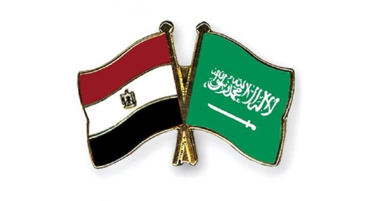 Egyptian, Saudi firms sign accords worth $7.7 bn
