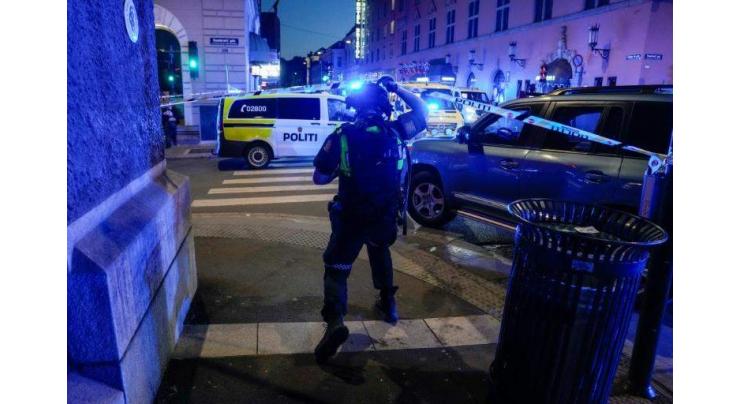 'Islamist terror' suspect arrested in deadly Oslo attack
