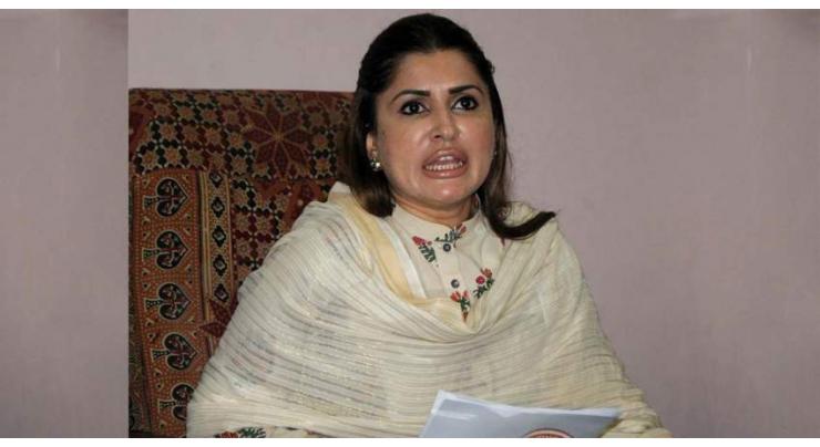 Shazia Marri condemns attack on senior journalist Ayaz Amir
