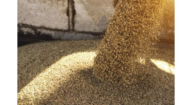 ECC approves 120,000 mt wheat sale for Afghanistan
