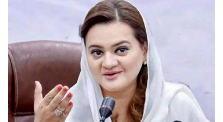 Free-electricity relief for 100-unit consumers included in Punjab Budget 2022-23: Marriyum Aurangzeb 
