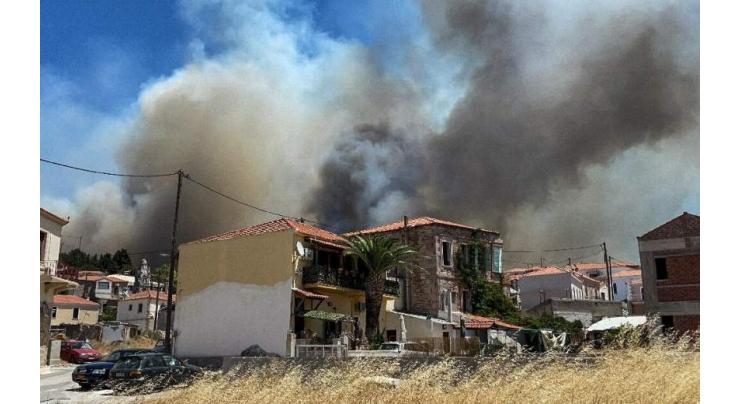 Greek firefighters battle inferno 'disaster' at natural park
