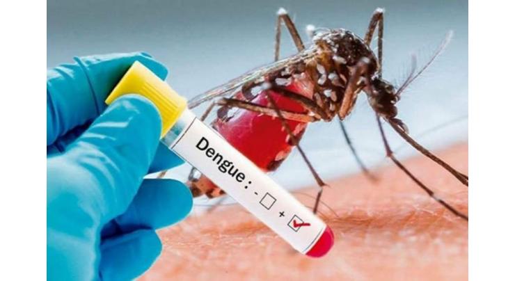 21 test positives for dengue virus so far
