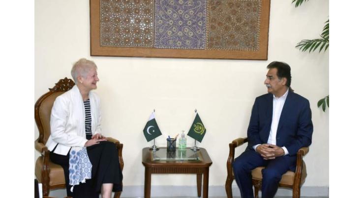 EU ambassador to Pakistan calls on Federal minister for economic affairs

