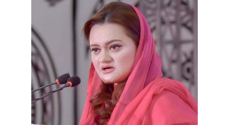 Masses have identified foreign agents: Marriyum
