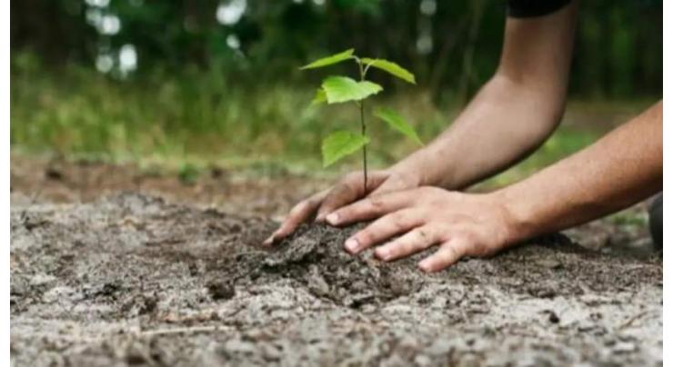 PHA to plant 500,000 saplings during 2022-23

