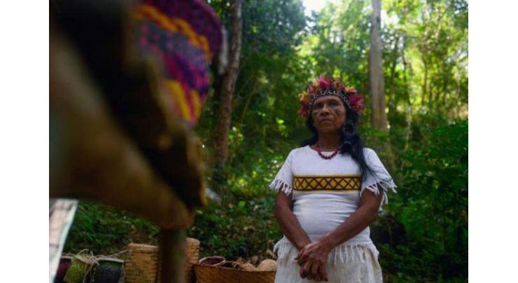 Seeking water, Brazil indigenous group finds new home
