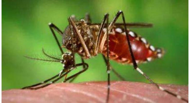 RDA making efforts to raise awareness against dengue
