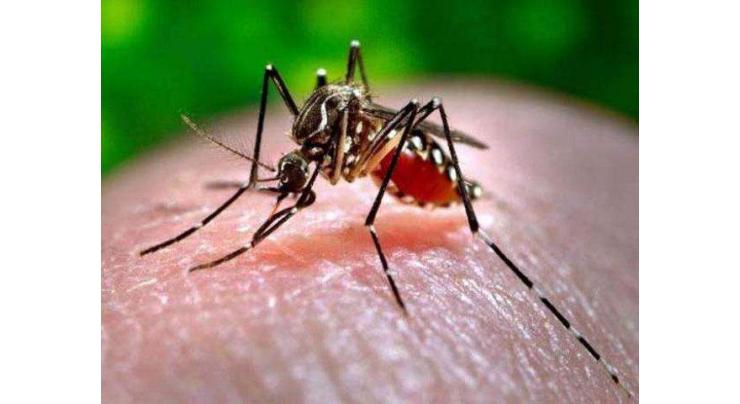 DC inspects anti-dengue measures
